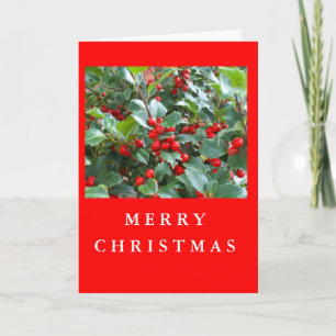 Christmas Holly Holiday Card