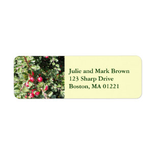 Christmas Holly Return Address Label