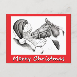 Christmas Horse and Saanta Claus Holiday Postcard