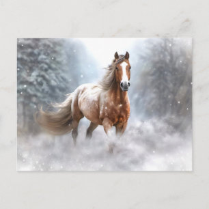 Christmas Horse and Snow Holiday Postcard