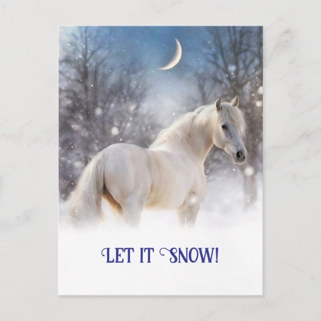 Christmas Horse and Snow Holiday Postcard (Front)