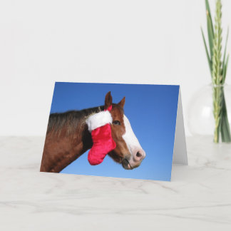 Christmas Horse Holiday Card