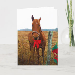 Christmas Horse Holiday Card