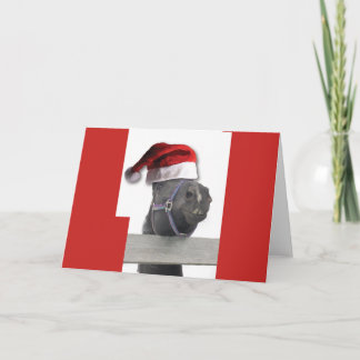 Christmas Horse Santa Claus Card
