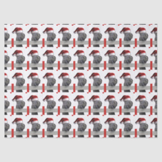Christmas Horse Santa Claus Tissue Paper