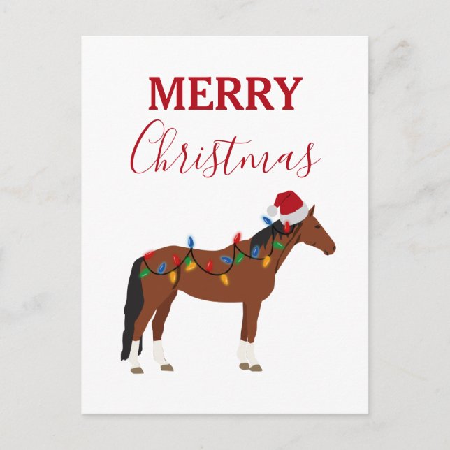 Christmas Horse Santa Hat Xmas Lights Xmas Holiday Postcard (Front)