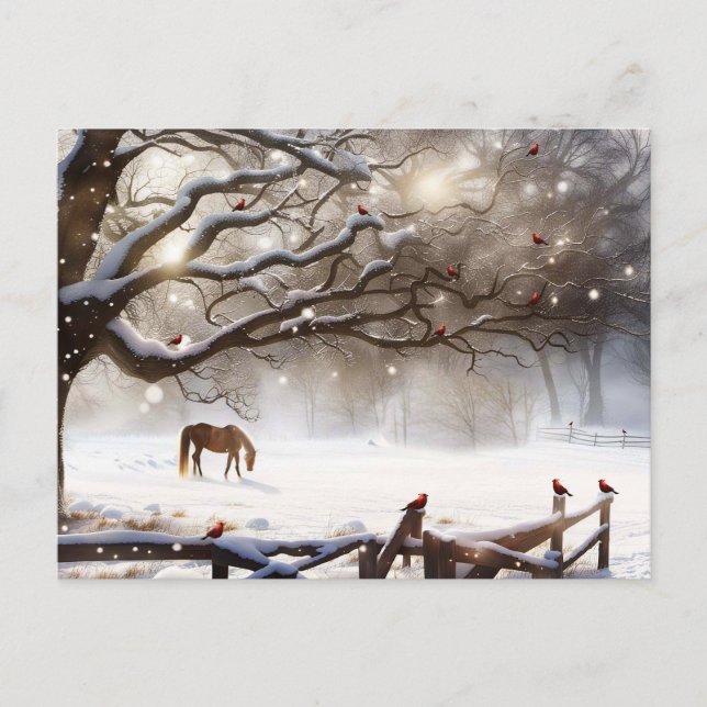 Christmas Horse Snow Cardinals Country Scene Cute Holiday Postcard (Front)