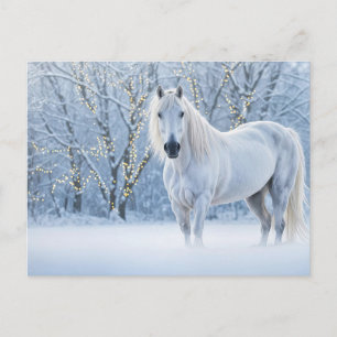 Christmas Horse Snow Lights Holiday Postcard
