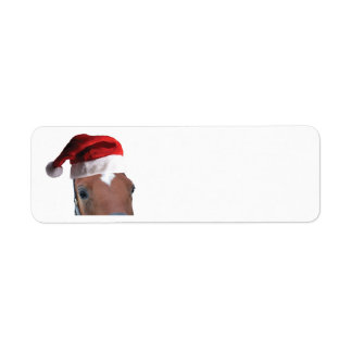 Christmas Horse wearing a Santa Claus Hat