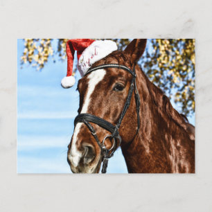Christmas horse with hat postcard
