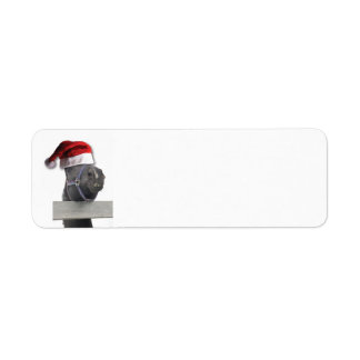 Christmas Horse with Santa Hat
