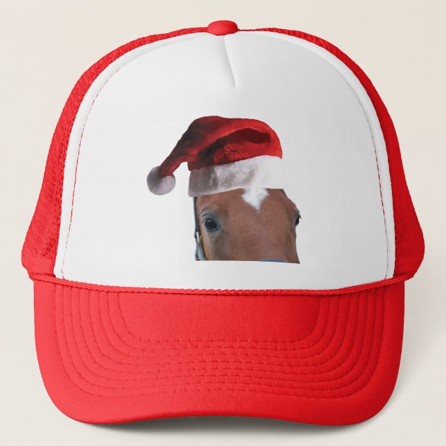 Christmas Horse With Santa Hat (Front)