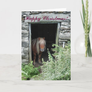 CHRISTMAS HORSES AND PONIES HOLIDAY CARD