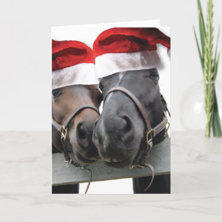 Christmas Horses With Santa Hats Holiday Card