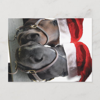 Christmas Horses With Santa Hats Holiday Postcard