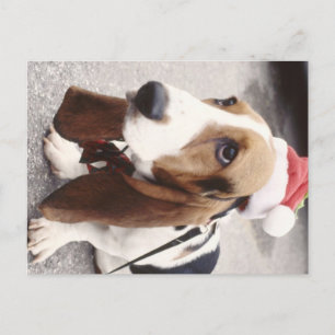Christmas Hound Holiday Postcard