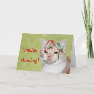 Christmas Humbug cat Holiday Card