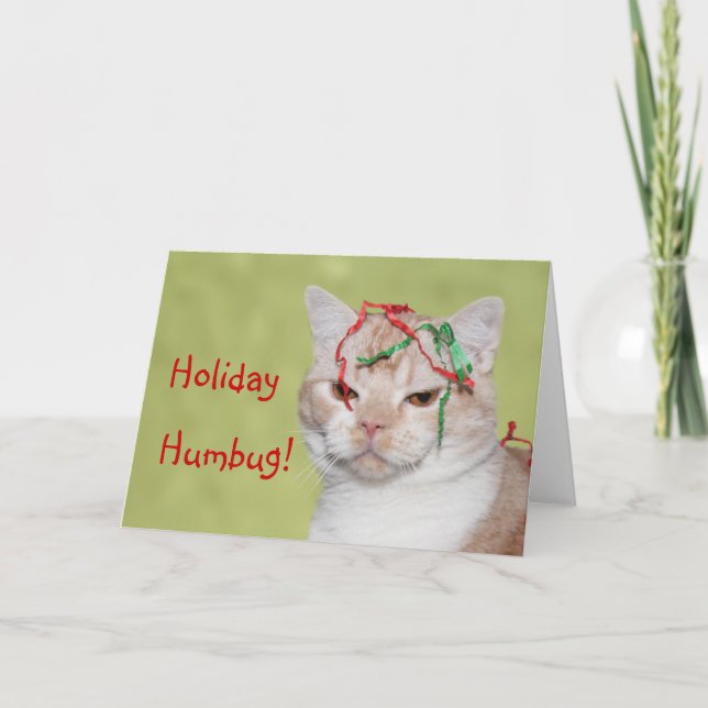 Christmas Humbug cat Holiday Card (Front)