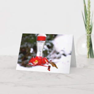 Christmas Hummingbird and Snow Holiday Card