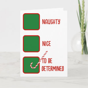 Christmas Humor Naughty Or Nice Check Boxes Card