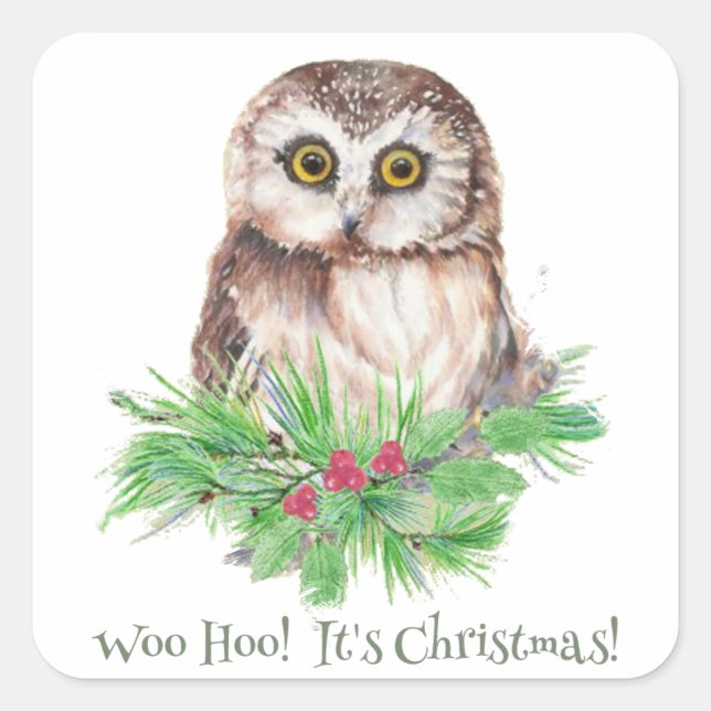 Christmas Humour Quote Cute Owl Bird Square Sticker (Front)