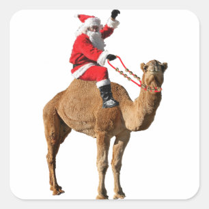 Christmas Hump Day Camel and Santa Square Sticker
