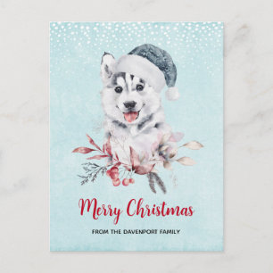Christmas Husky Dog in a Santa Hat Postcard