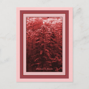 Christmas in Canada Red Holiday Postcard