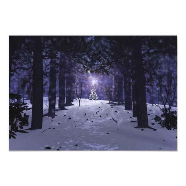 Christmas in the Pines Photo Print (Front)