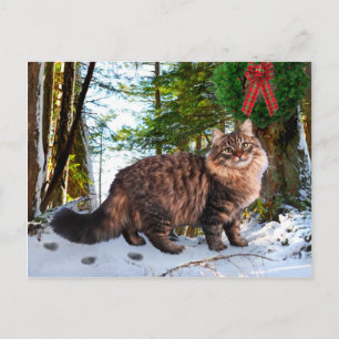 "Christmas In The Woods" Postcard