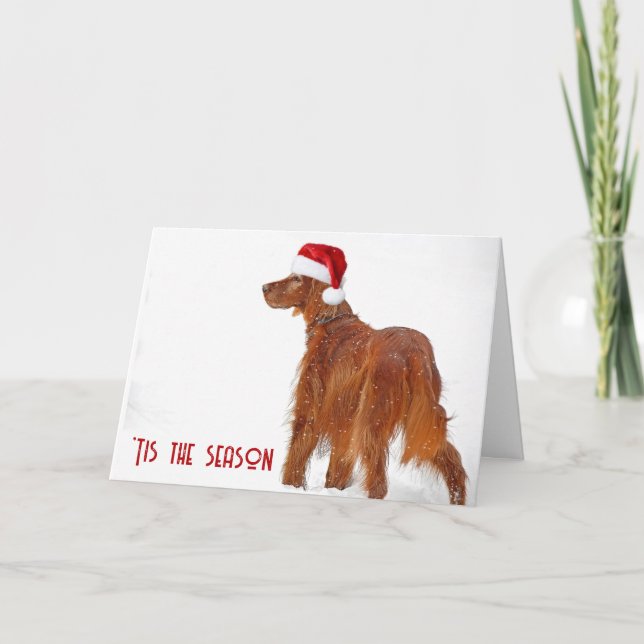 Christmas Irish Setter In Snow Card (Front)