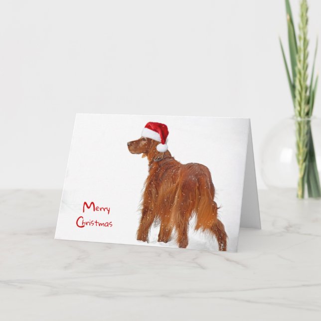 Christmas Irish Setter in snowflakes Card (Front)