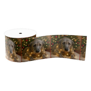 Christmas Irish Wolfhound Tangled In Lights Grosgrain Ribbon