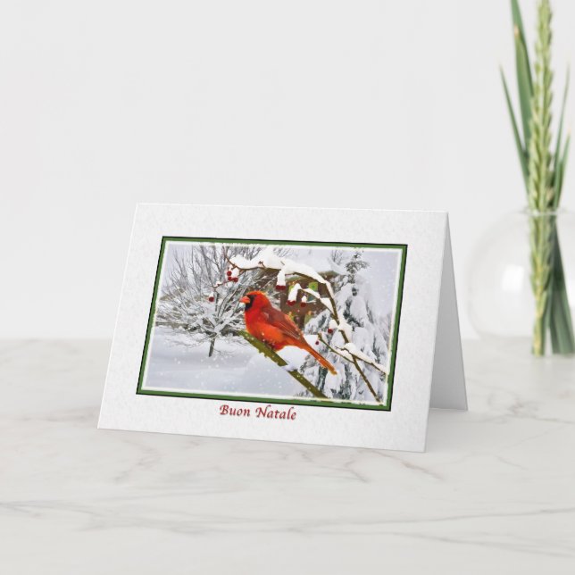 Christmas, Italian, Cardinal Bird, Snow, Card (Front)