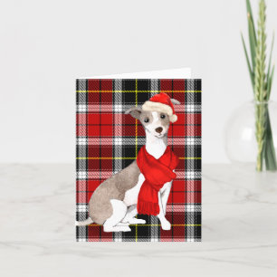Christmas Italian Greyhound and Holiday Plaid