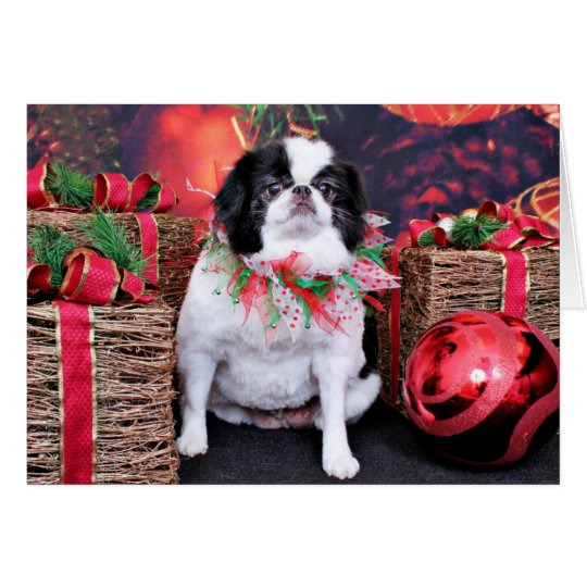 Christmas - Japanese Chin - Oreo Card
