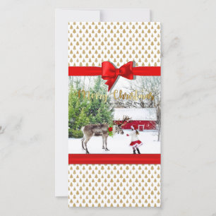 Christmas Joy and Peace Photo Holiday Card