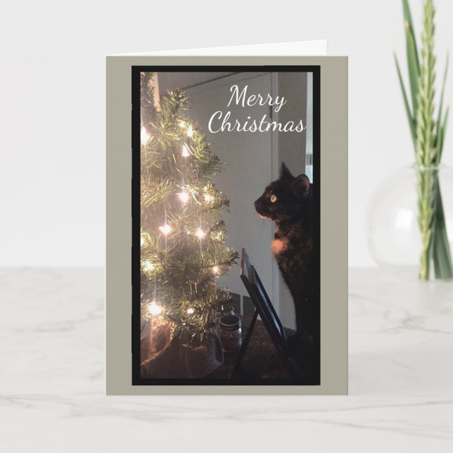 Christmas Joy Calico Cat Christmas Card (Front)