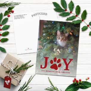 Christmas Joy   Pet Holiday Photo