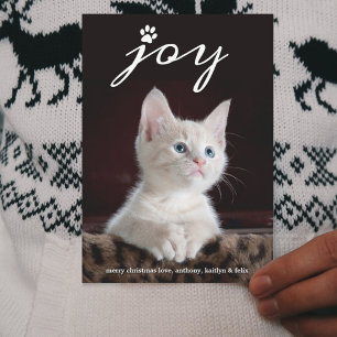Christmas Joy   Pet Holiday Photo