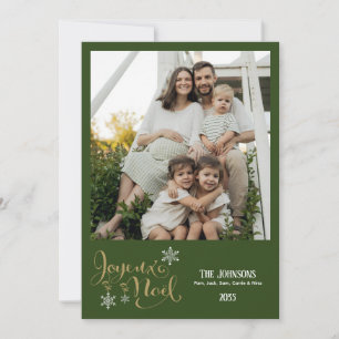 Christmas Joyeux Noel Snowflakes Green Plaid Holiday Card