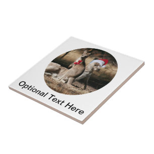 Christmas Kangaroos Australian Style Tile