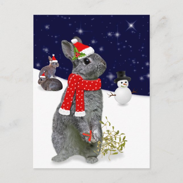 Christmas Kits Postcard (Front)