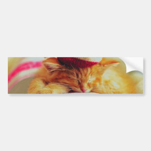 Christmas Kitten Bumper Sticker