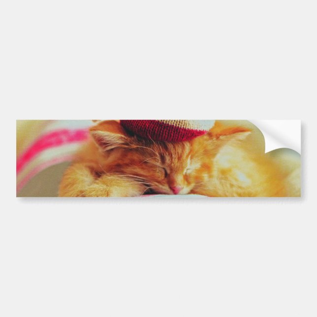 Christmas Kitten Bumper Sticker (Front)