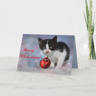 christmas kitten greeting card