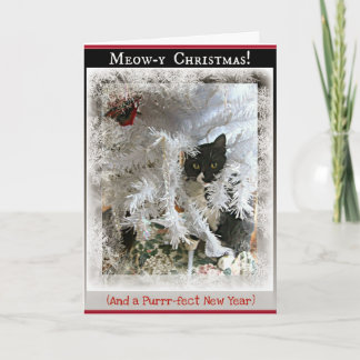 Christmas Kitten Greetings from Inside the Tree Holiday Card