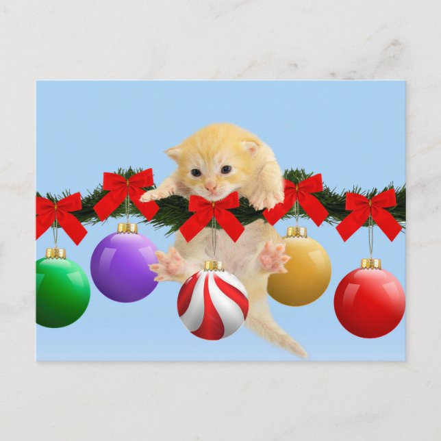 Christmas kitten holiday postcard (Front)