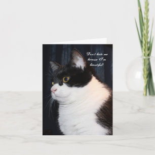 Christmas Kitten Inspirational Note Card