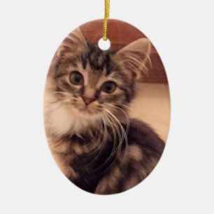 Christmas Kitten Ornament Tree Cat Kitty Holiday